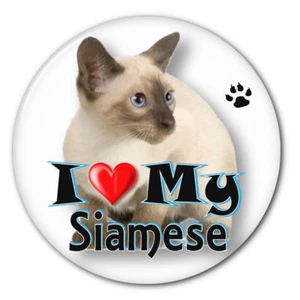 I LOVE MY SIAMESE KITTEN CAT 3" SAFETY PIN BACK BUTTON - Picture 1 of 2