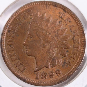 Centavo cabeza india 1899, moneda sin circular del estado como nuevo, tienda #CT0337 - Imagen 1 de 2