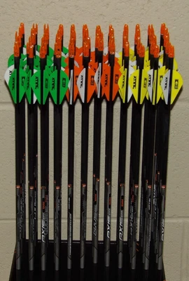 Nuevo 12 Flechas Easton Axis SPT 340 Columna 5mm - 9.5 GPI - con Tapones de Acero Inoxidable 50 gr Foto 1 de 4