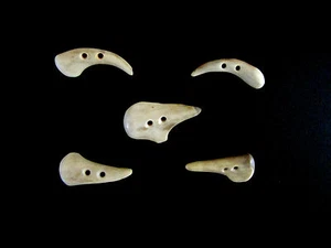 ANTLER BUTTONS,1 1/4"TOGGLES,TINES,5 ODD HOOKED PIECES,3/32" HOLE,114-53 - Picture 1 of 4