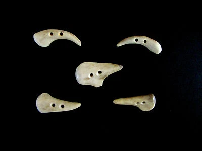 ANTLER BUTTONS,1  1/4"TOGGLES,TINES,5 ODD HOOKED PIECES,3/32" HOLE,114-53 - Image 1 of 4