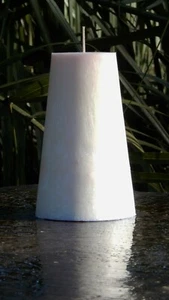 220hr DOG, PET, CIGARETTE SMOKE & COOKING ODOR ELIMINATOR Scented Ivory CANDLE - Picture 1 of 24