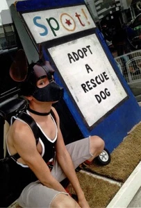 Puppy Play #1 Adopt a Rescue Dog gay gentleman's collection 4x6 reprint - Picture 1 of 1