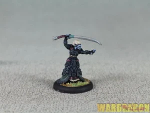 30mm Warmachine WDS painted Retribution of Scyrah Priest of Nyssor q62 - Bild 1 von 4