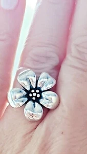 Wunderschöner James Avery Blumen Ring Retired Größe 5 mit orig. Box und Beutel! - Bild 1 von 5