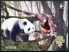 Indonesien 2019 postfrisch Wuhan Weltmarken 2v M/S Pandas Orang-Utans Tiere Briefmarken 