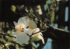 SINGAPORE - Imagen 1 de 2