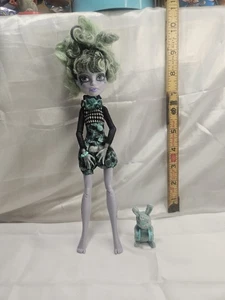 Monster High Freak-Du-Chic Twyla Puppe in gutem gebrauchten Zustand mit Haustier - Bild 1 von 13