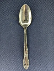 Cuchara vintage de acero inoxidable de 6 pulgadas Fenway Daydream WM A Rogers - Imagen 1 de 3