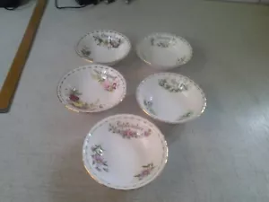 Doulton Brambly Hedge 5 Bowl Jan April May Sept Dec 13.5 Cm Mint New - Picture 1 of 12