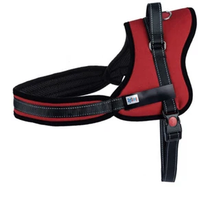 Anti Lost Dog Harness With Top Handle Non Pull Portable Outdoor Walking - Picture 1 of 7