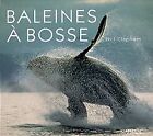 Baleines a bosses von Collectif | Buch | Zustand gut