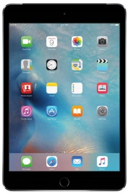 Apple iPad mini 4 A1550 16 GB, Wi-Fi, 7.9 in - Space Gray - Renewed Good - Image 1 of 4