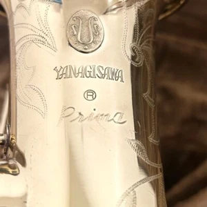 Yanagisawa ELIMONA Prima A-800 A-80 Alto Saxophone Gold Used with Case - Picture 1 of 17