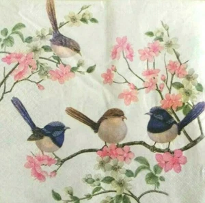 20 Paper Napkins Serviettes 3Ply Blue Brown Wrens Birds Decoupage Luncheon Party - Picture 1 of 12