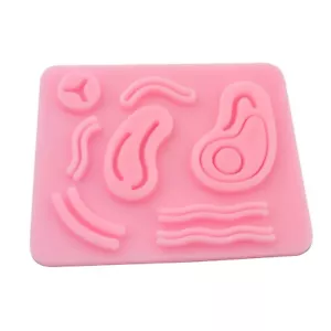 Medical Suture Training Kit Human Skin Model Pad Practice Teaching Tool DS-1395 - Picture 1 of 3