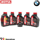 KIT TAGLIANDO OLIO + FILTRO MOTUL 7100 10W40 5L BMW 1600 K 1600 GT 2012