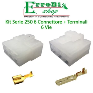 KIT CONNETTORE SERIE 250 FASTON 6 MASCHIO FEMMINA 6 VIE + TERMINALE AUTO MOTO - Picture 1 of 1