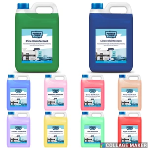 DISINFECTANT ANTIBACTERIAL Pet Dog Kennel Stable Patio Floor Car Washroom Office - Picture 1 of 12