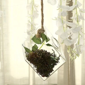 3 CLEAR RHOMBUS Glass Wall Terrariums Vases Home Wedding Events Centerpieces - Picture 1 of 6