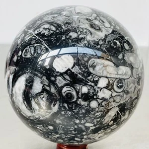 Insectoconcha Natural Cristal Fósil Bola Cuarzo Cristal Esfera Reiki Healing3380G - Imagen 1 de 12