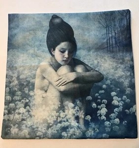 Federa copricuscino Shadow Field di Christian Schloe 17” x 17” decorazione arte surreale - Foto 1 di 4