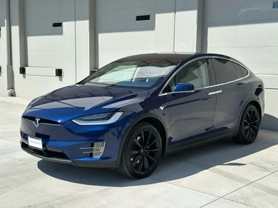 Tesla Model X 100D 2018 deportivo utilitario 4P Foto 1 de 4