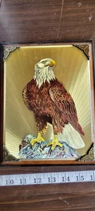 Vintage framed foil etching art print of a bald eagle 9.5in x 7in - Picture 1 of 8