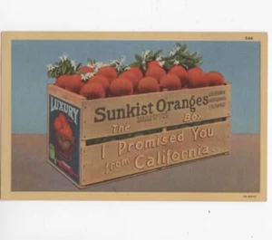 Werbepostkarte Sunkistische Orangen 1940 - Bild 1 von 1