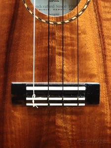 Kamaka Hb-2Dk Concert Deluxe 2006 Concert/Long Neck Gear Peg/Low-G Specification - Picture 1 of 11