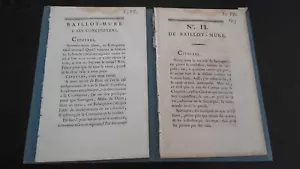 BAILLOT-MURE A SES CONCITOYENS L'AN 3 IMPRIMERIE DE FRANTIN A DIJON 1794-95 ABE - Imagen 1 de 3
