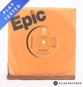 David Werner - Can't Imagine - Promo 7" Vinyl Record - EX/NM - Bild 1 von 6