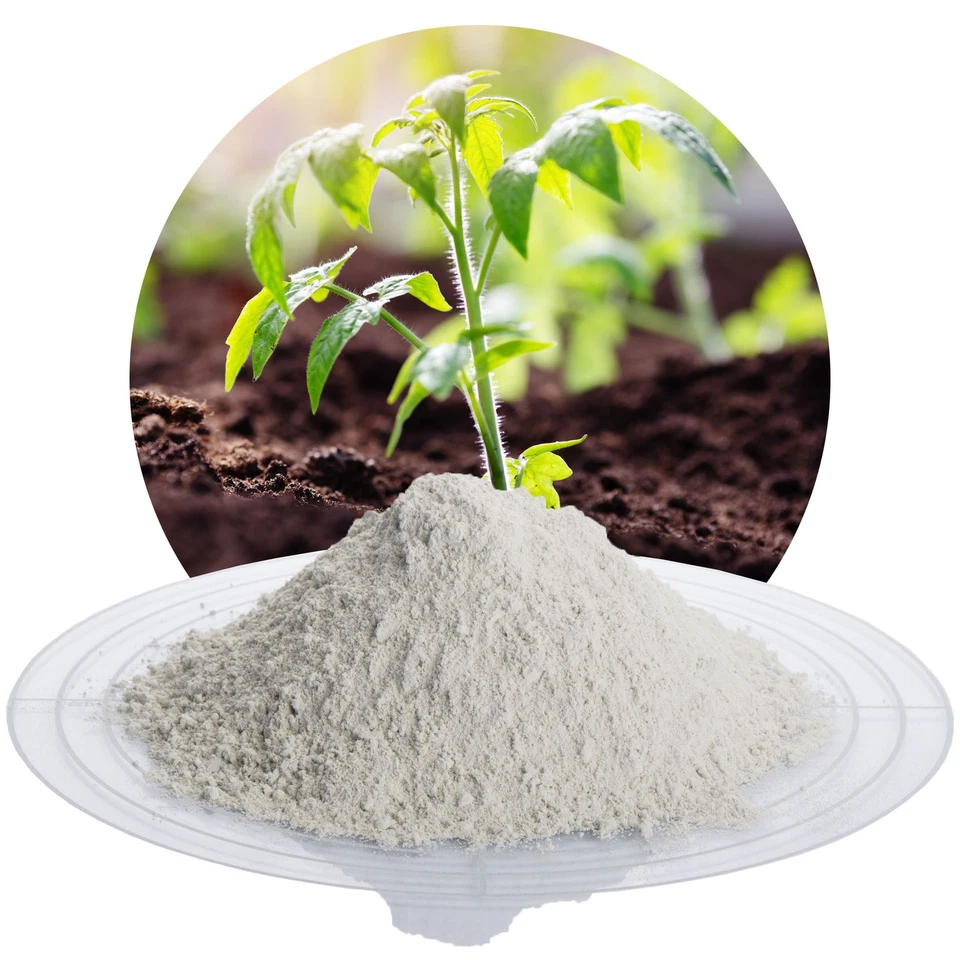 Schicker Mineral Zeolith-100 25 kg Steinmehl Ackeranbau Weinanbau Obst Gemüse