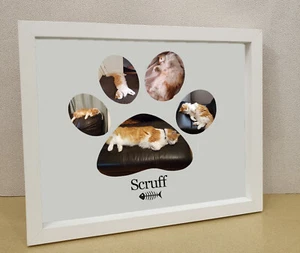 Cat lovers gift pet frame Personalised printed photo framed - Picture 1 of 3