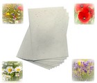 Seed Craft Paper A4 A5 A6 Seeded Sheets Size Choose Size and Seeds 200GSM
