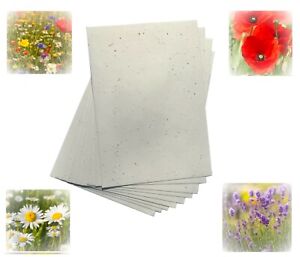 Seeded Craft Paper A4 A5 A6 Sheets Size Choose Size and Seeds 200GSM Plantable