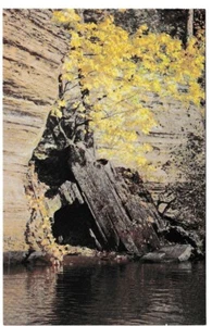 Piano de cola The Baby, Lower Dells, río Wisconsin, WI, postal cromada vintage - Imagen 1 de 2