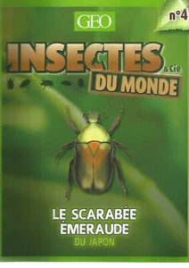 INSECTES & Cie DU MONDE N°04 - LE SCARABEE SMARAGD DU JAPAN - Bild 1 von 2