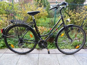 Damen Fahrrad "Ragazzi" 28 Zoll, RH 54 cm, Made in Germany, Top Zustand - Bild 1 von 9