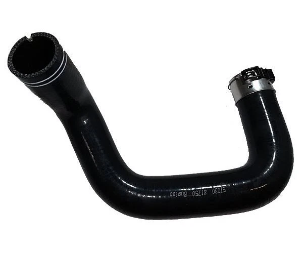 Manguera de aire de carga BUGIAD 81750 derecha Fiat 500L Tipo Combi Foto 1 de 1