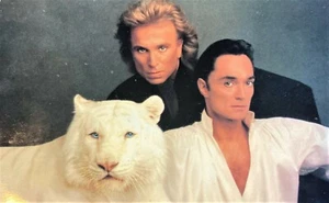 SIEGFRIED & ROY Mirage Hotel Postal Tigre Blanco Sitarra Foto Real 8x5 Vegas - Imagen 1 de 9