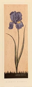 art print~IRIS FLORAL PANEL~Warren Kimble~folk primitive flower 7.5x20 - Picture 1 of 1