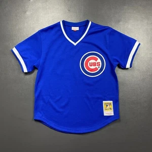 100% Authentic Ryne Sandberg Mitchell & Ness Chicago Cubs Jersey 44 L Mens - Picture 1 of 6