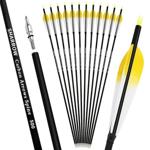 28" 30" 31" Archery Carbon Arrows SP500 Feather Screw-in Tip Recurve Bow Hunting - Picture 1 of 21
