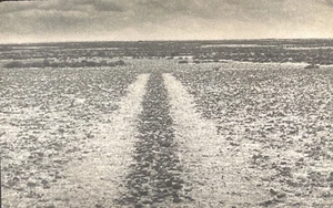 Richard Long “line In Bolivia 1981” British Land Art 35mm Art Slide - Picture 1 of 4