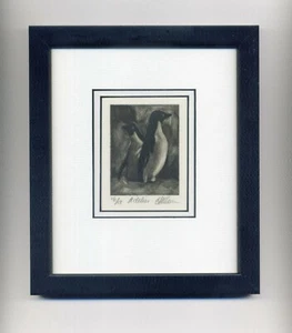PENGUINS Adelies Original FRAMED MEZZOTINT Signed Limited-Edition LISTED ARTIST - Picture 1 of 2