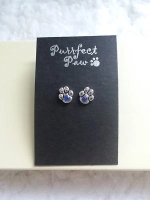 Pendientes Pata Plateados Aspecto Zafiro - Nuevos Foto 1 de 3