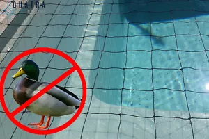 15m x 10m H/Duty Netting - Pool & Pond Cover Net - Keep ducks out of your pool! - Picture 1 of 6