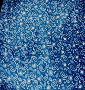 Shannon Fabrics 2013 Flannel Super Soft 1 Yard 42 Wide Paisley Blue White - Picture 1 of 2