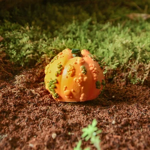 Mini Fairy Warty Pumpkin  TO 5020  Miniature Fairy Gnome Hobbit Garden - Picture 1 of 6